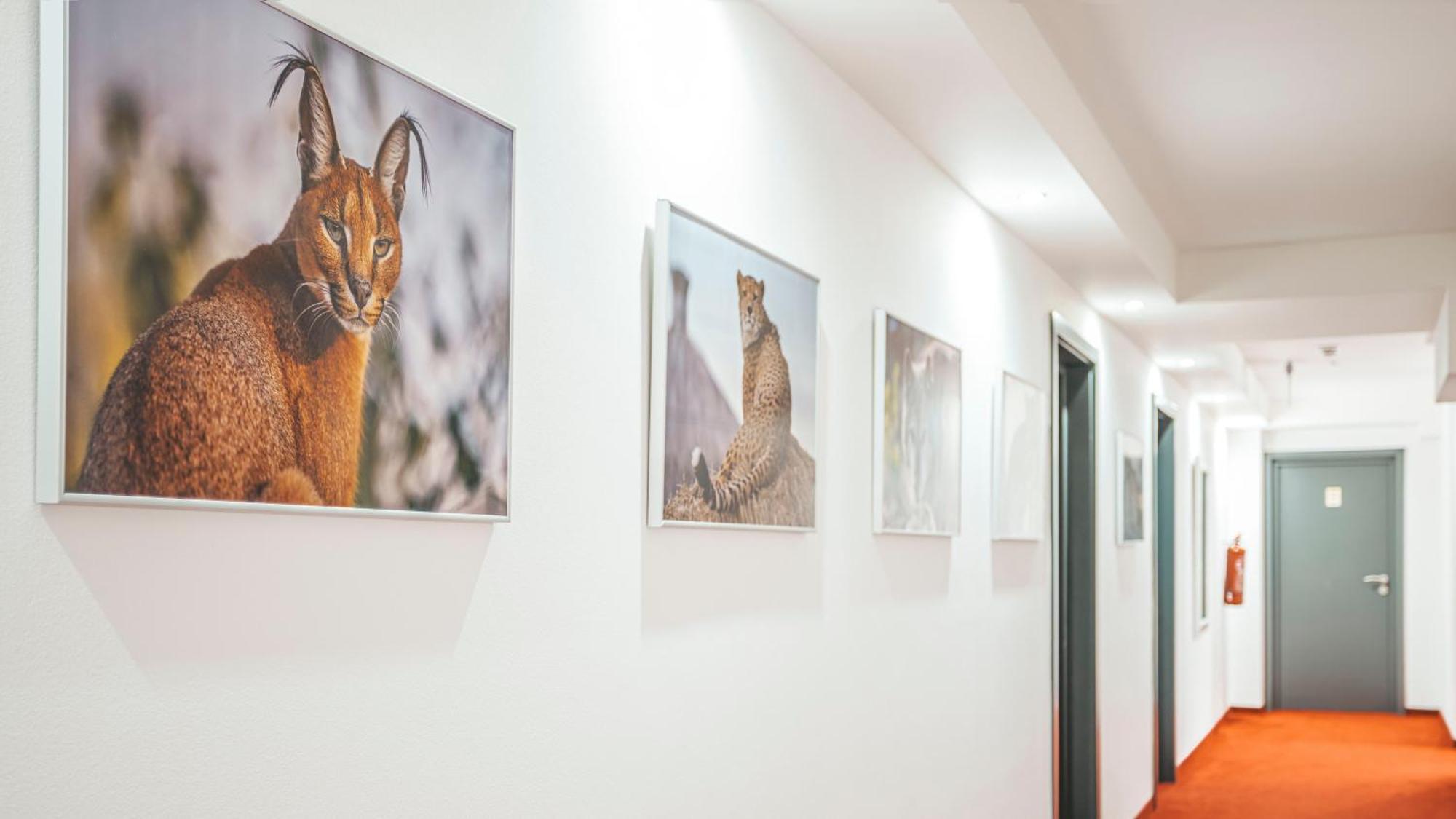 Malkia Penzion Orechová Potôň Buitenkant foto