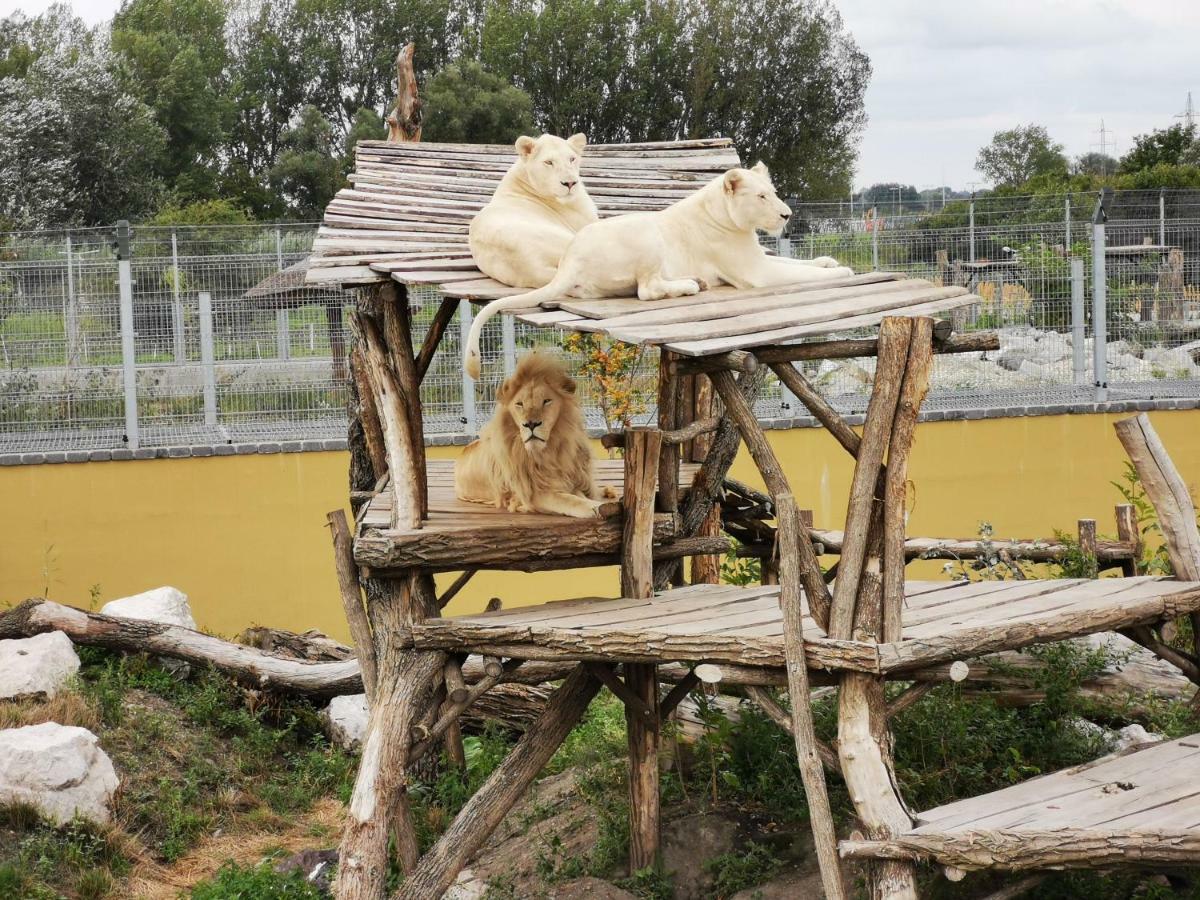 Malkia Penzion Orechová Potôň Buitenkant foto